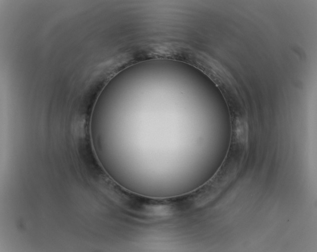 X0000113610514200909181421