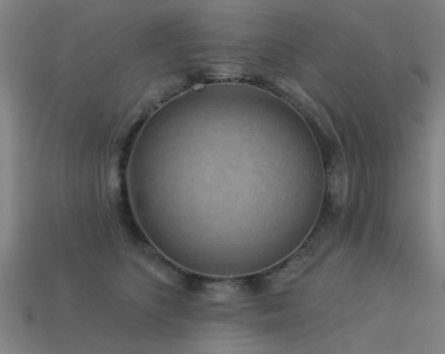 X0000113610516200909181421