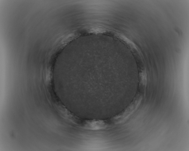 X0000113610517200909181421