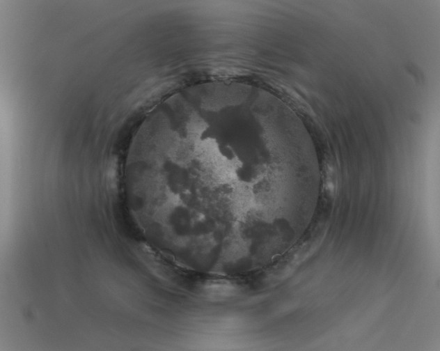 X0000113610519200909181421