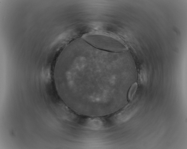 X0000113610520200909181421