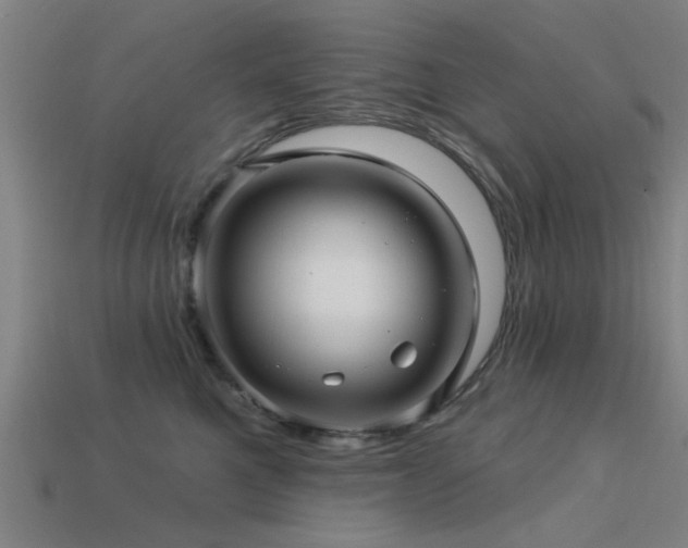 X0000113610521200909181421