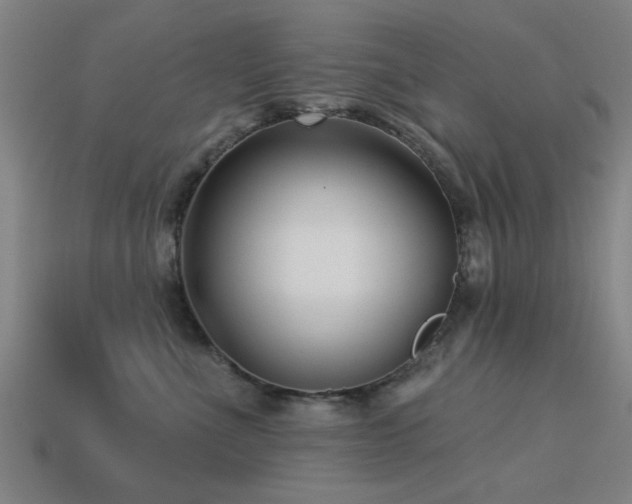 X0000113610523200909181421