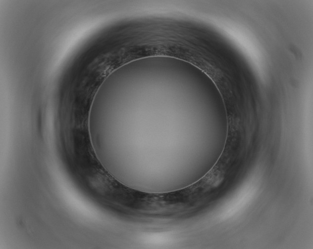 X0000113610526200909181421