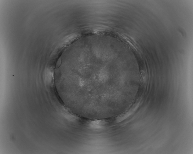 X0000113610527200909181421