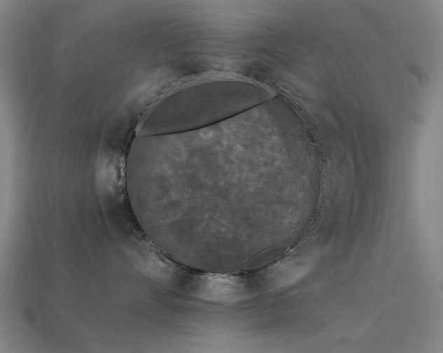 X0000113610528200909181421