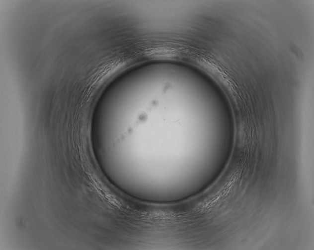 X0000113610529200909181421