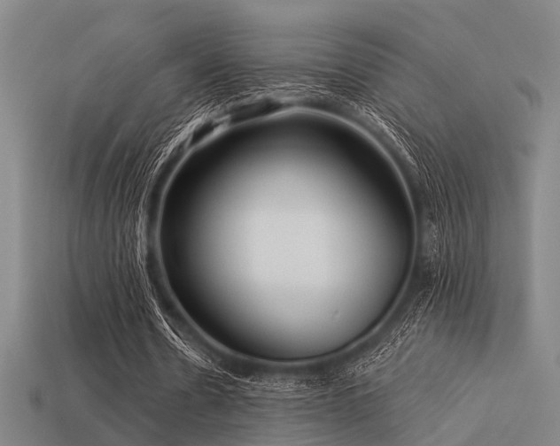 X0000113610530200909181421