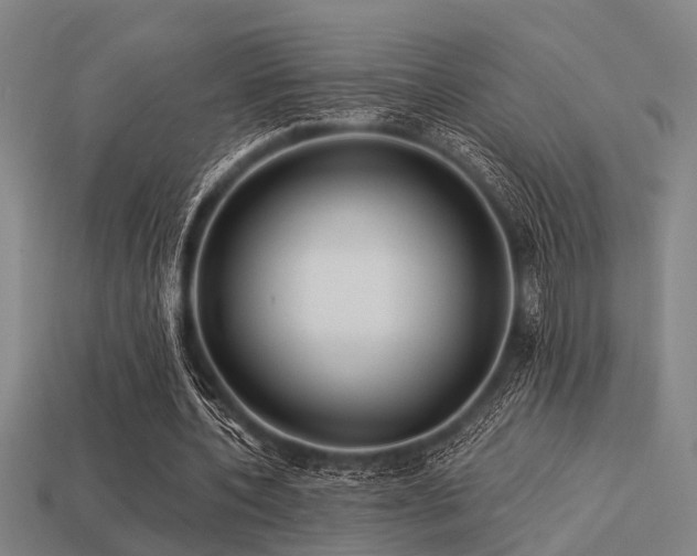 X0000113610532200909181421