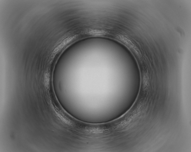 X0000113610533200909181421