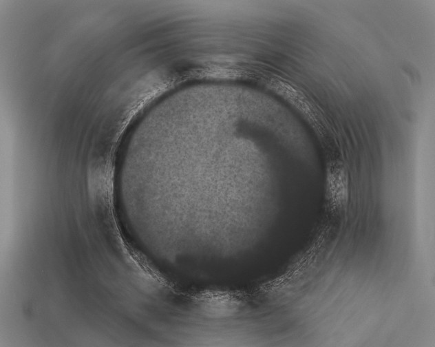 X0000113610534200909181421