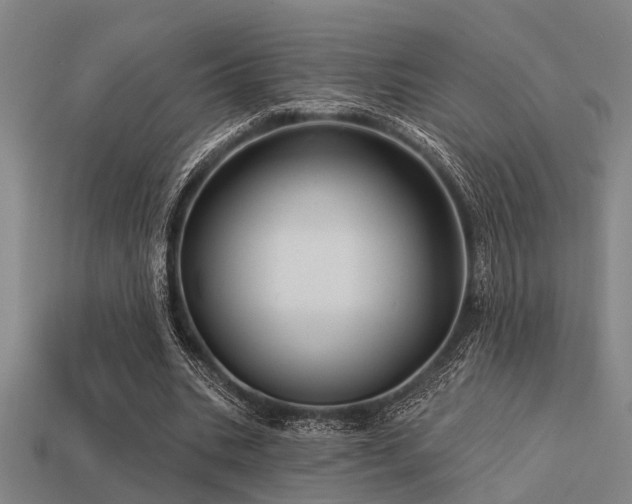 X0000113610535200909181421