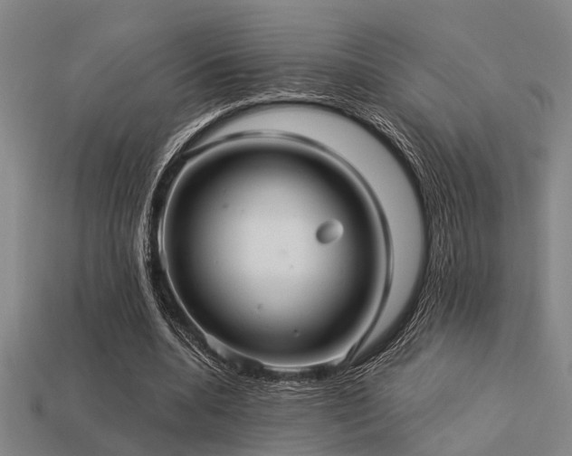 X0000113610536200909181421