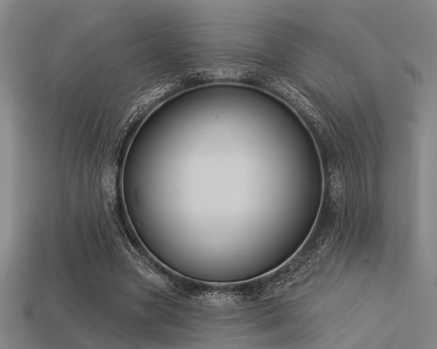 X0000113610537200909181421