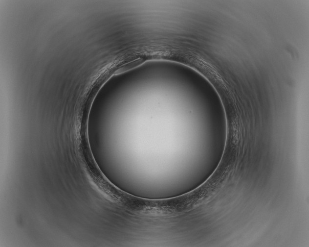 X0000113610538200909181421