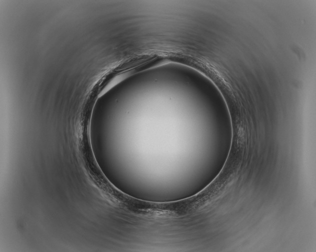 X0000113610539200909181421