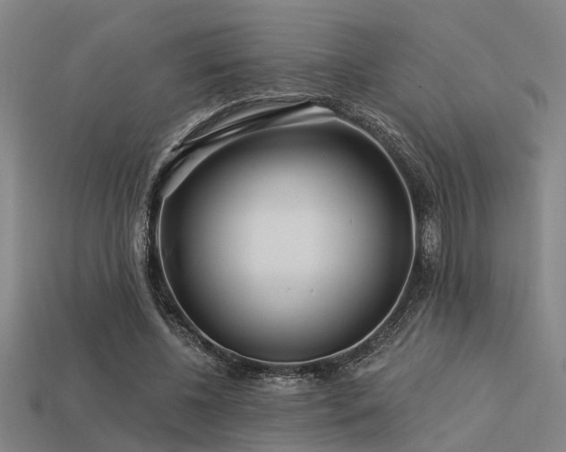 X0000113610540200909181421