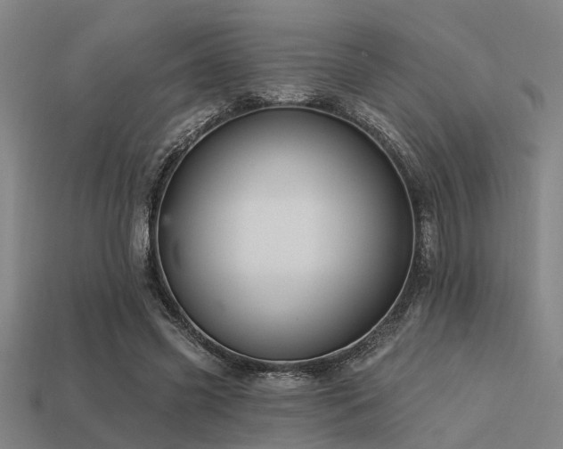 X0000113610541200909181421