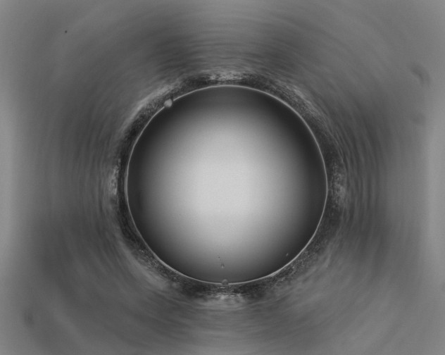 X0000113610543200909181421