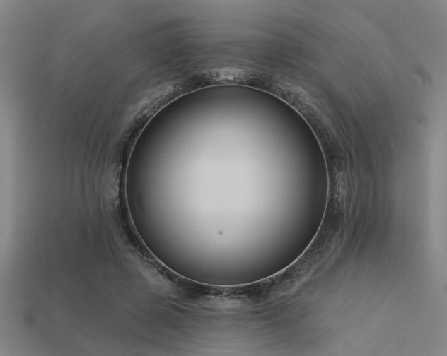 X0000113610545200909181421