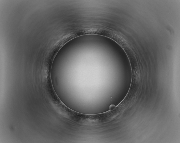 X0000113610546200909181421