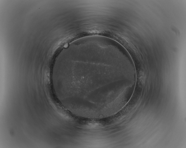 X0000113610547200909181421