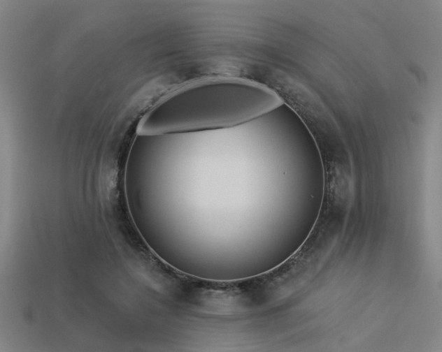 X0000113610548200909181421