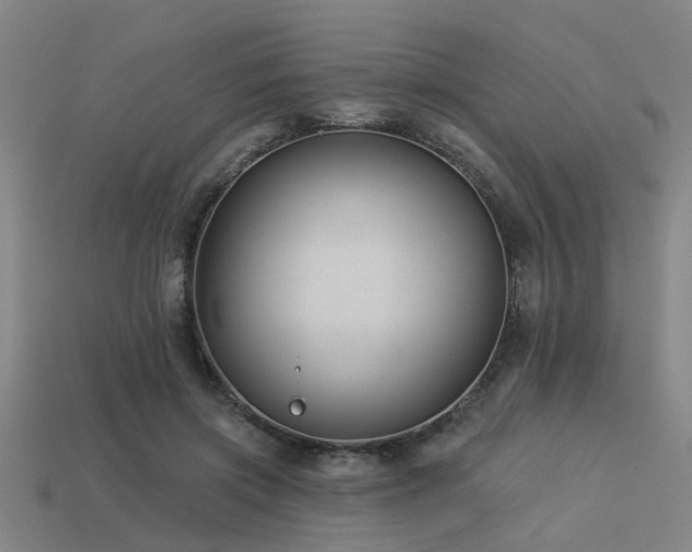 X0000113610549200909181421