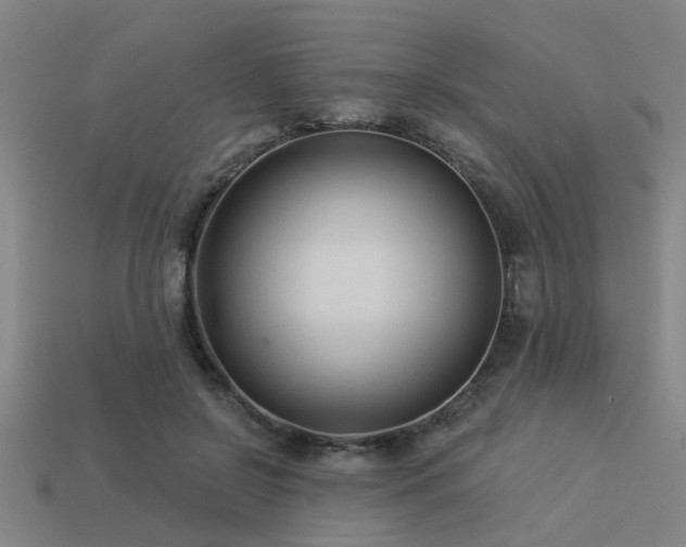 X0000113610550200909181421