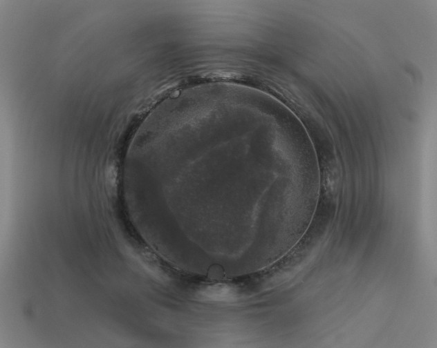 X0000113610551200909181421