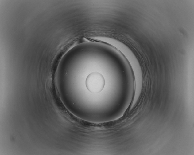 X0000113610552200909181421