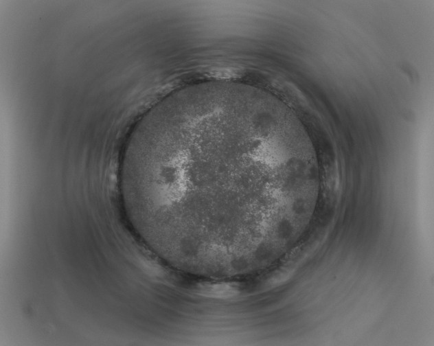 X0000113610553200909181421