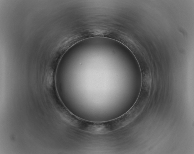 X0000113610554200909181421