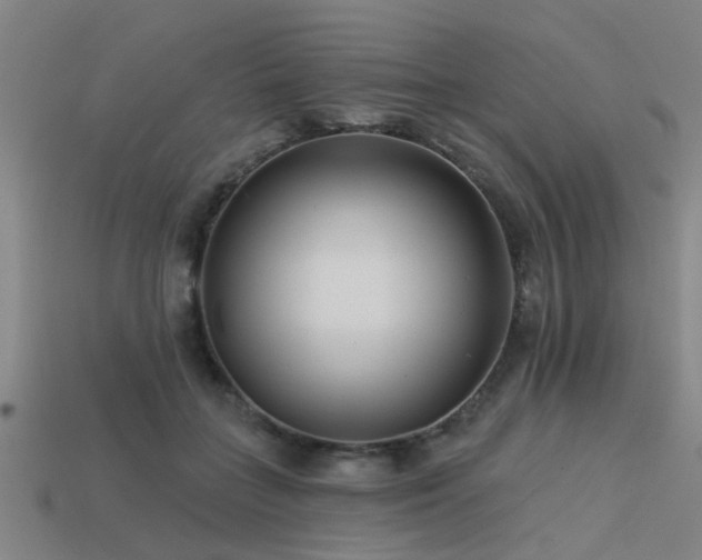 X0000113610555200909181421