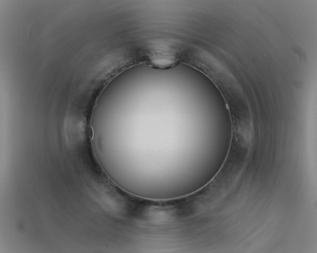 X0000113610556200909181421