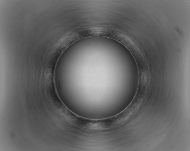 X0000113610557200909181421