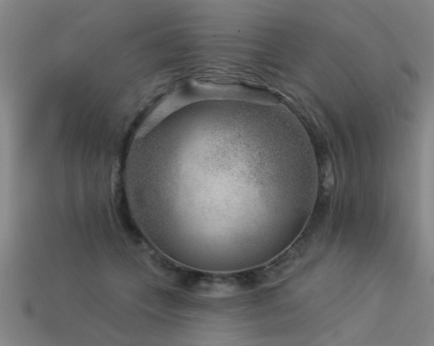 X0000113610559200909181421