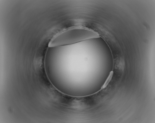 X0000113610560200909181421