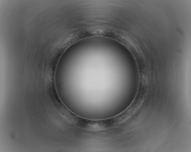 X0000113610561200909181421