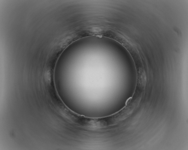 X0000113610562200909181421