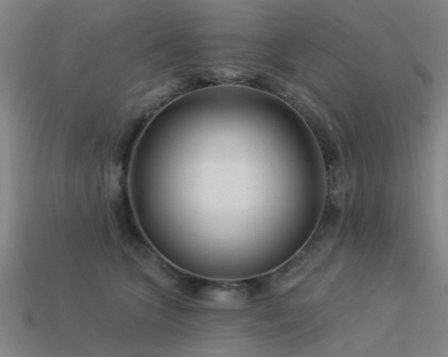 X0000113610563200909181421