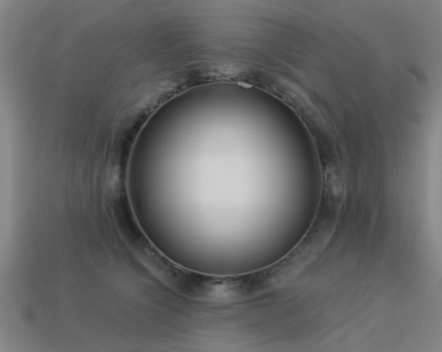 X0000113610564200909181421