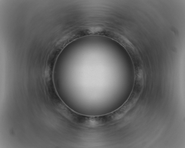 X0000113610565200909181421