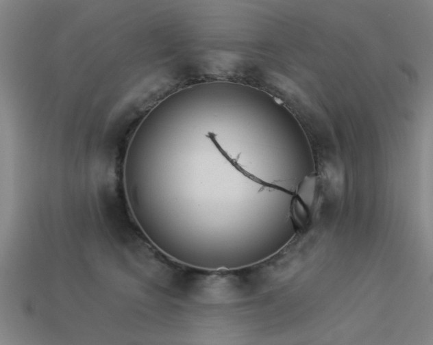 X0000113610566200909181421