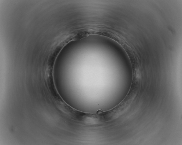 X0000113610567200909181421