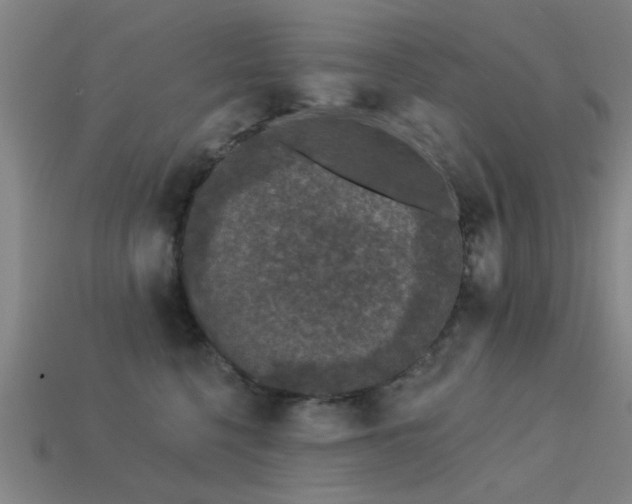 X0000113610568200909181421