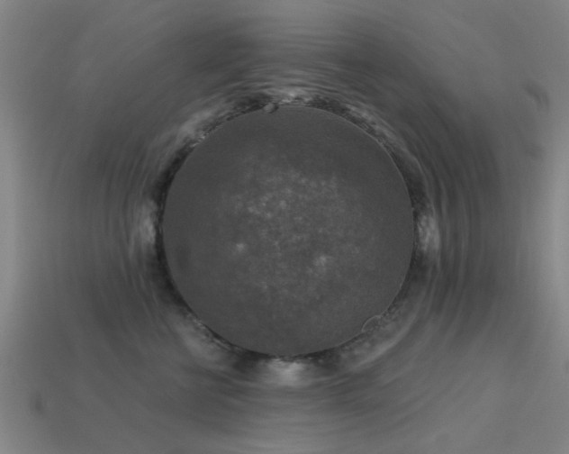 X0000113610570200909181421