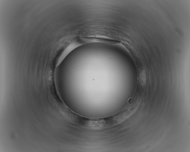 X0000113610571200909181421