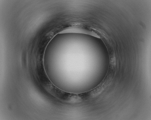 X0000113610572200909181421