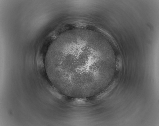 X0000113610573200909181421